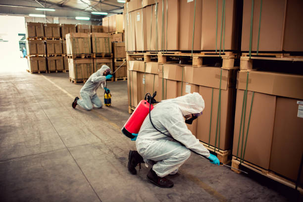 Best Emergency Pest Control  in Somersworth, NH
