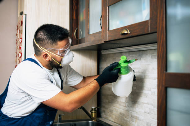 Trusted Somersworth, NH Pest Control Experts