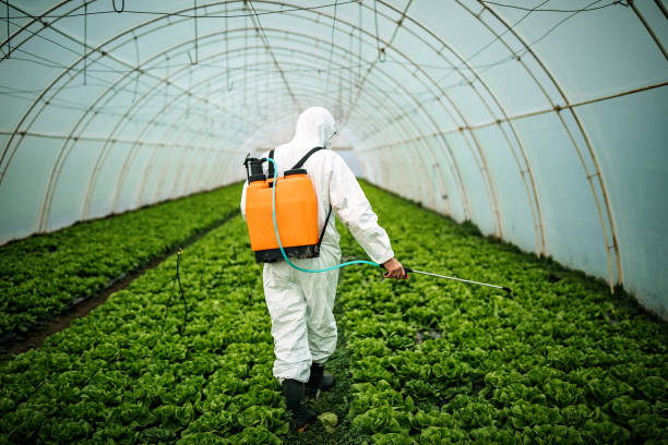 Best Affordable Pest Control Services  in Somersworth, NH