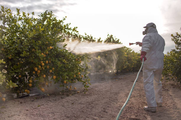 Pest Prevention Services in Somersworth, NH