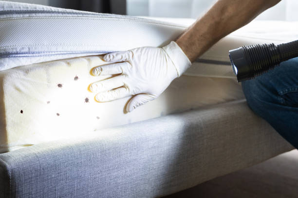 Best Pest Inspection Near Me  in Somersworth, NH