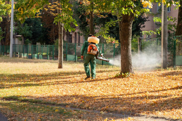Best Best Pest Control Companies  in Somersworth, NH